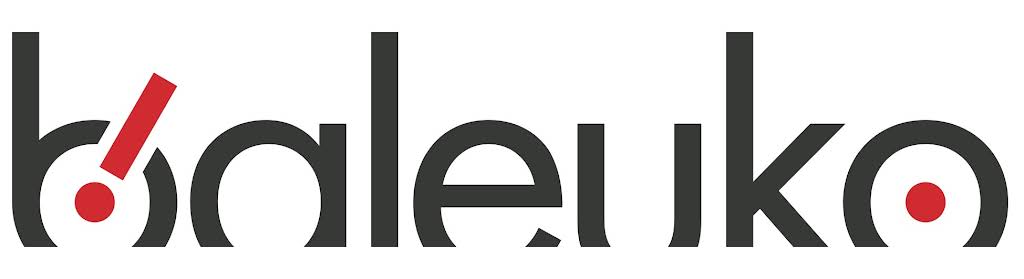 Brand Name - Create an Enticing Logo Display Website.